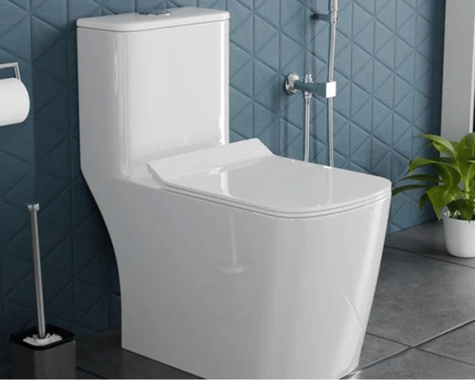 Floor mounted/one piece W/C